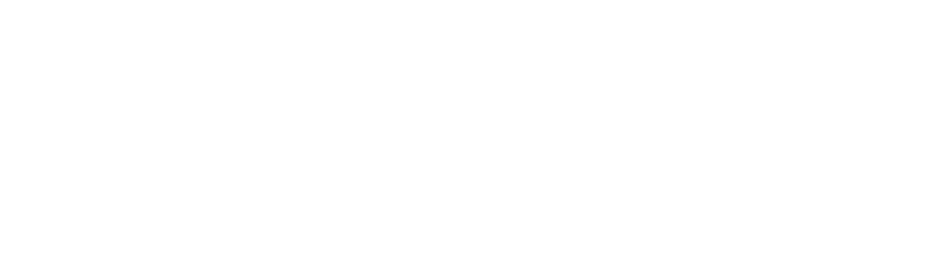 Longevity Planning: Plan, Protect, Care, Thrive, Share